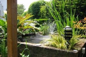 View 1 from project Lush Rathfarnham Garden
